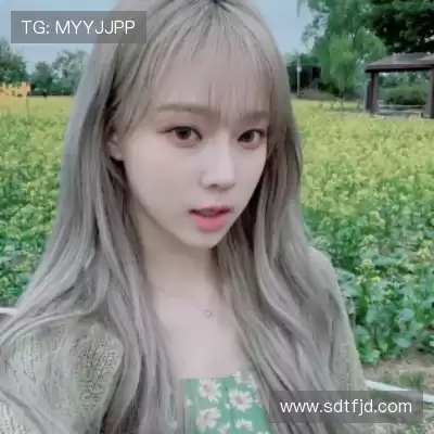 云维燕